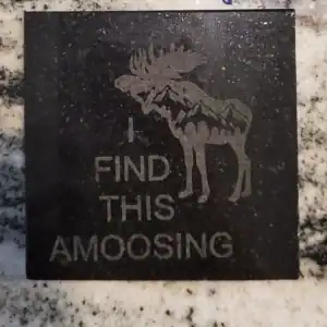 Moose coaster engraved on granite with humorous "I find this amoosing" message.