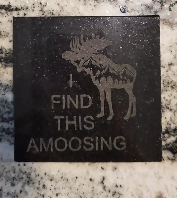 Moose coaster engraved on granite with humorous "I find this amoosing" message.