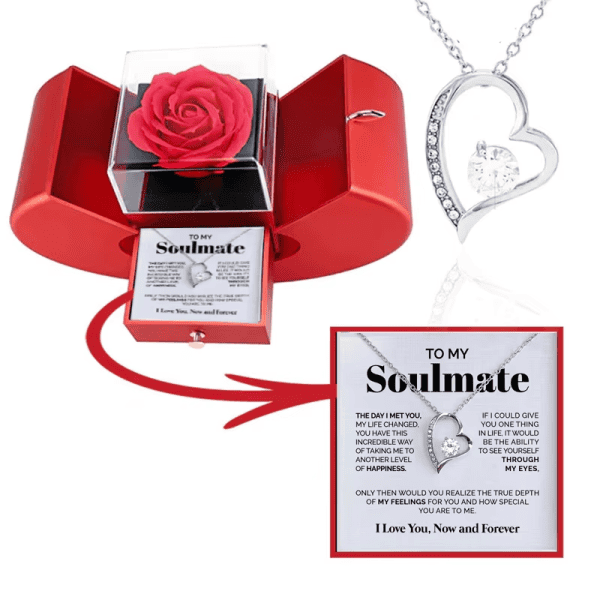 Heart-shaped silver necklace with cubic zirconia, perfect romantic jewelry gift.